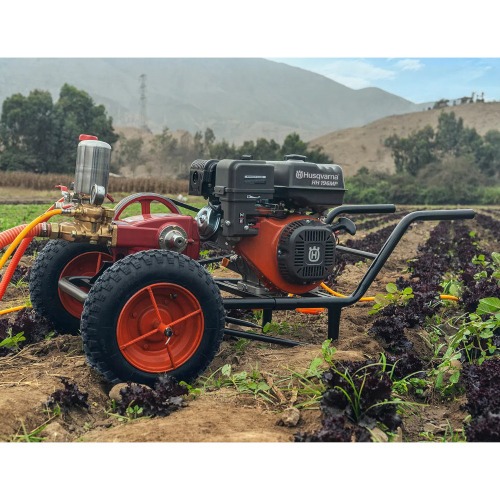 Motor a gasolina 6.5 hp 4 tempos partida manual - HH 196MP