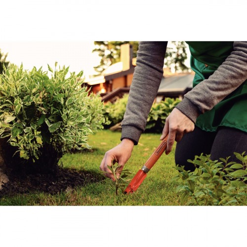 Arrancador de ino com cabo de madeira  77910/001