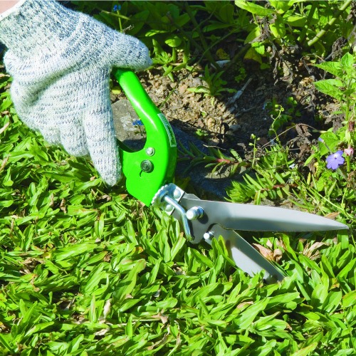 Tesoura podadora manual para cerca viva - TS-180