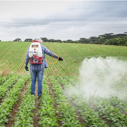 Pulverizador costal a gasolina 1 hp 25L com carrinho - PC260TKDL-Q