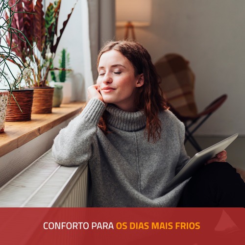 Aquecedor de ambientes 800 watts halgeno Comfort Air II - A-09  220V