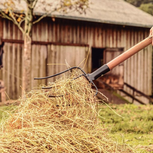 Forcado reto de arame 4 dentes sem cabo