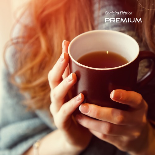 Chaleira eltrica 2 litros 1.200 watts Premium Inox - CE-06  220V