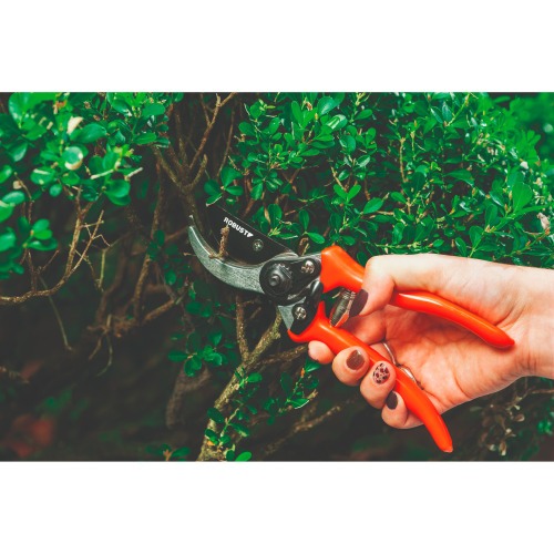 Tesoura manual para poda 8