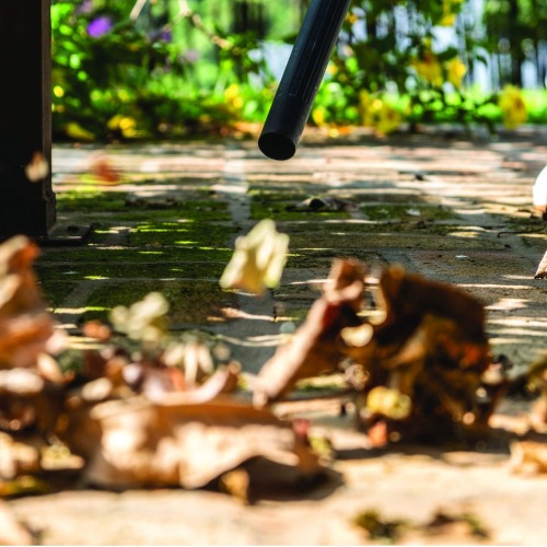 Aspirador de p e lquido 10L 1.500W com funo soprador - WDL 1  220V