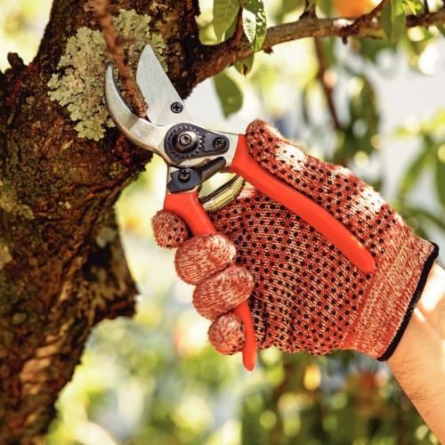 Tesoura de poda profissional - Bypass