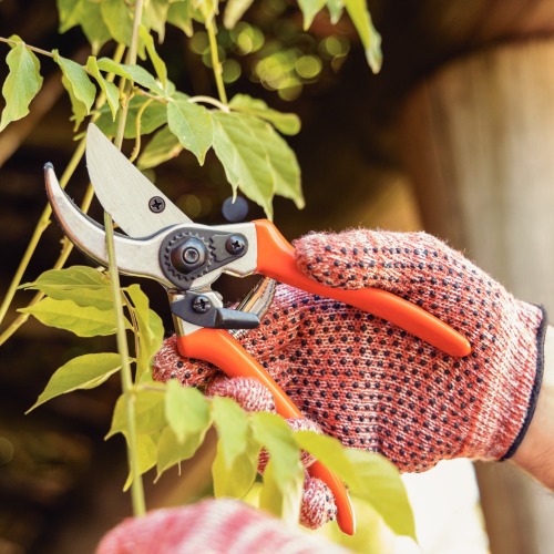 Tesoura de poda profissional - Bypass