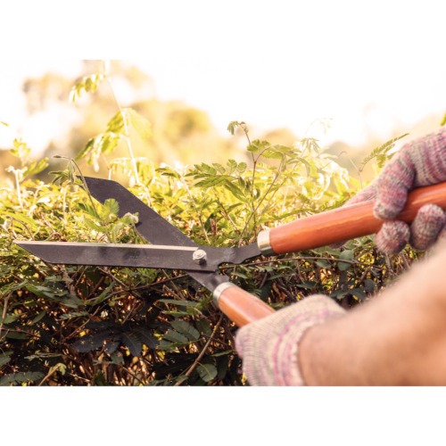 Tesoura para cerca viva com lâmina lisa de 12 Tesoura para cerca viva com lâmina lisa de 12