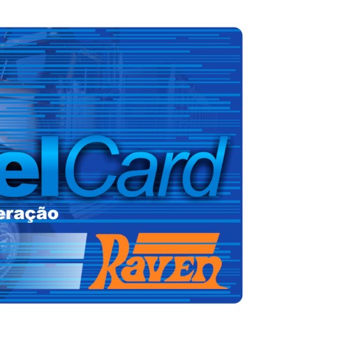 Cart�o de libera��o de software DieselCard - 108700-3