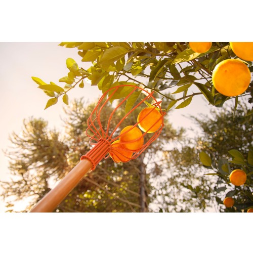 Colhedor de frutas sem cabo - 77819/101