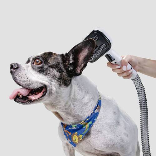 Aspirador de Pelos e Tosador para pets - Pet Clean  110V