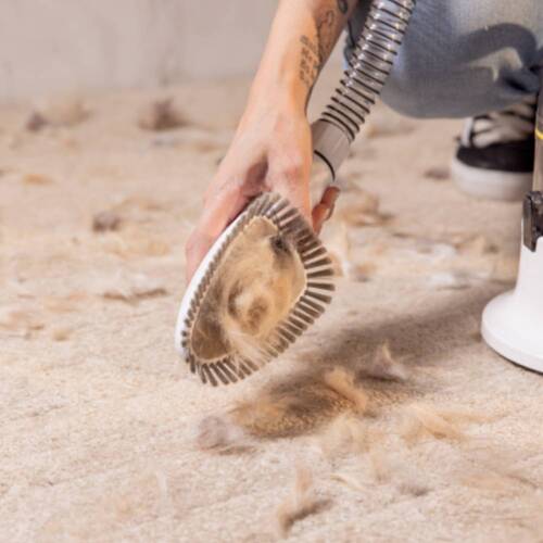 Aspirador de Pelos e Tosador para pets - Pet Clean  110V