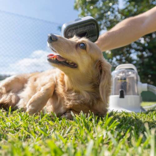 Aspirador de Pelos e Tosador para pets - Pet Clean  110V