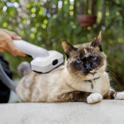 Aspirador de Pelos e Tosador para pets - Pet Clean  220V