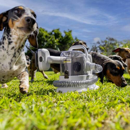 Aspirador de Pelos e Tosador para pets - Pet Clean  220V