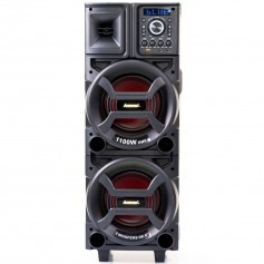 Caixa de som amplificada 1100W RMS com 2 Woofers 8