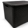 Kit 2 Caixas organizadoras com tampa 7 litros - Rattan