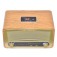 Caixa de som porttil retr 35W RMS com Bluetooth Radio AM/FM - TRC 212  110V/220V