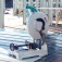 Serra r�pida port�til 12