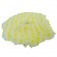 Boina de l� 5