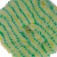 Boina de l� 5