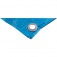 Lona de polietileno 8 x 5 m 100 micra azul