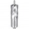 Broca anular encaixe Weldon 20 mm x 30 mm